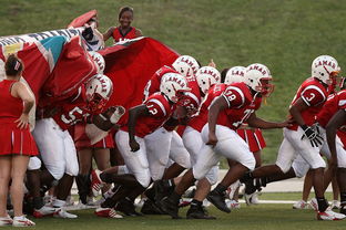 爱游戏平台-国家队技战术水平提升瓶颈，国家技巧队